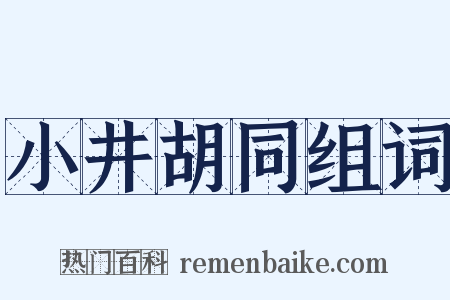 小井胡同组词是什么意思的图片